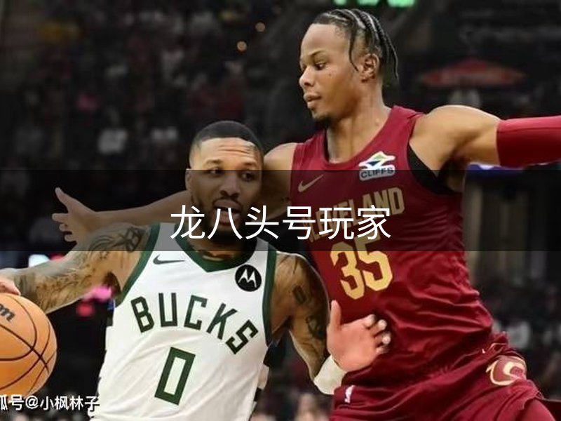 龙八头号玩家品牌故事